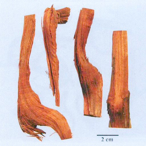 执业医师_护士资格_卫生职称_执业药师考试_北京百通